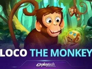 Loco The Monkey thumbnail